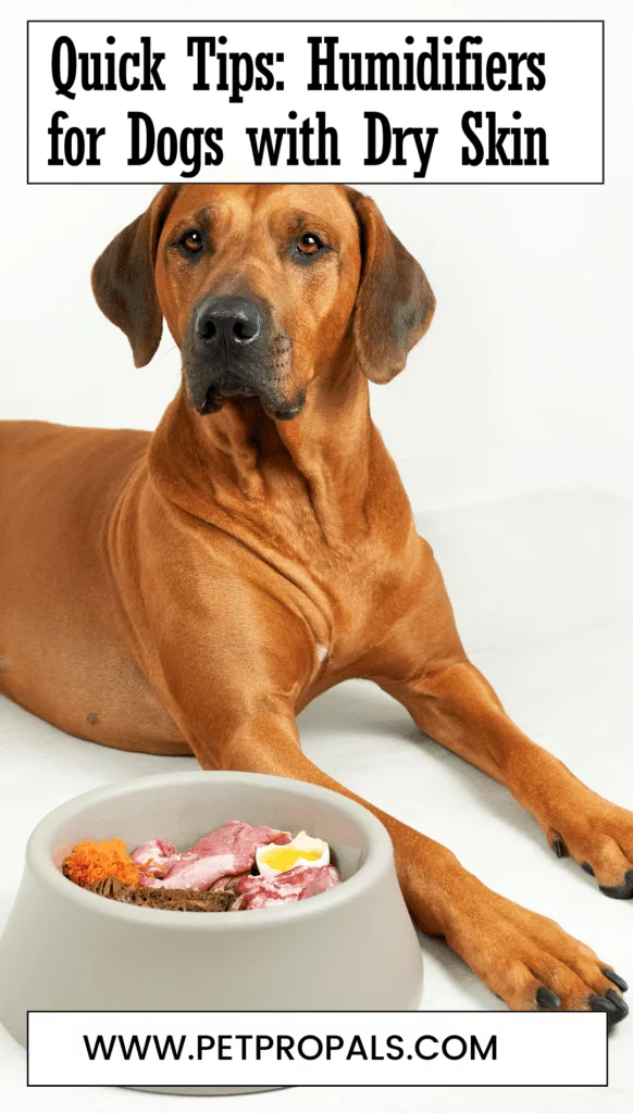 Humidifiers for Dogs with Dry Skin
