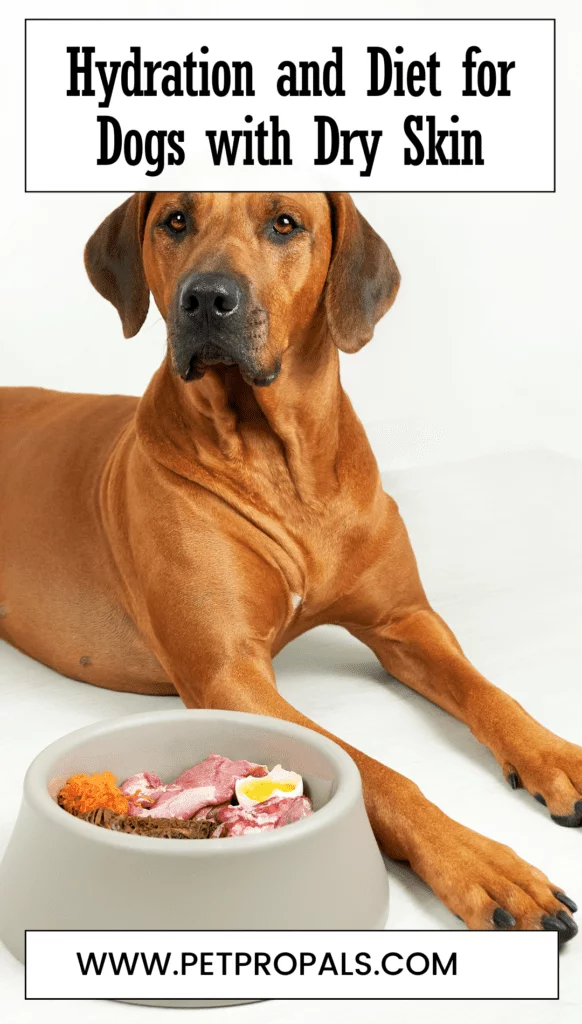 Hydration and Diet for Dogs with Dry Skin