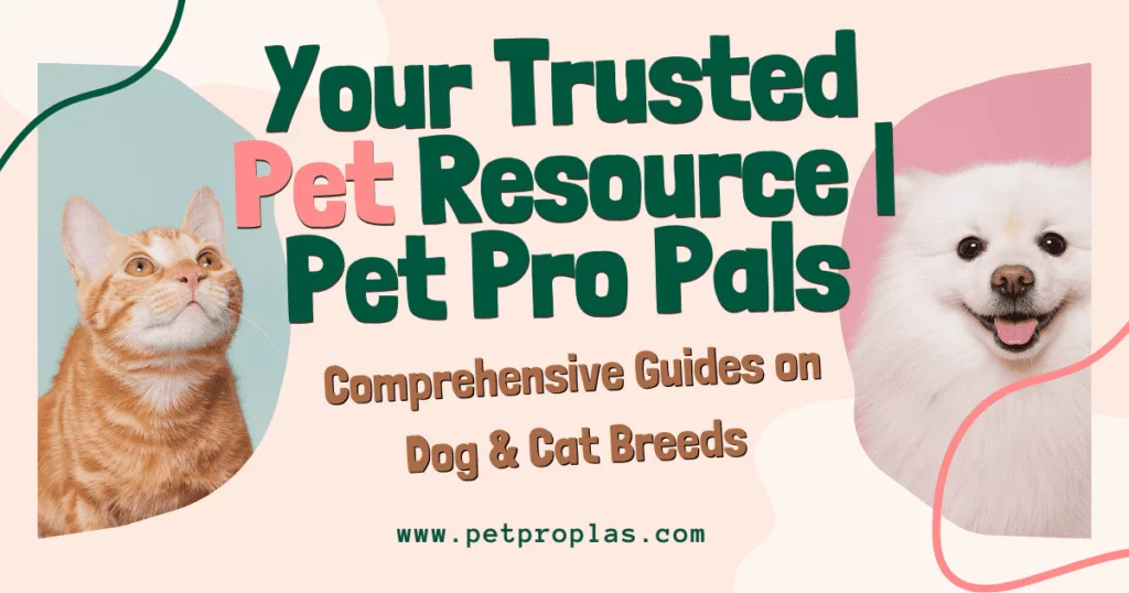 Your Trusted Pet Resource | Pet Pro Pals