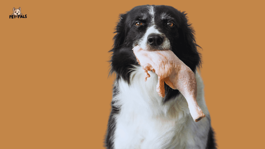 Can Dogs Eat Raw Chicken Bones The Real Answer (From Science & Experience)